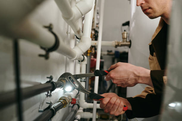 Best Local Plumber Services  in Wescosville, PA